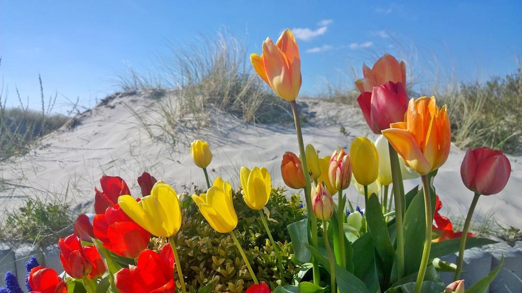 Ostsee Ferienappartements Dierhagen-Strand Klein & Fein Dış mekan fotoğraf
